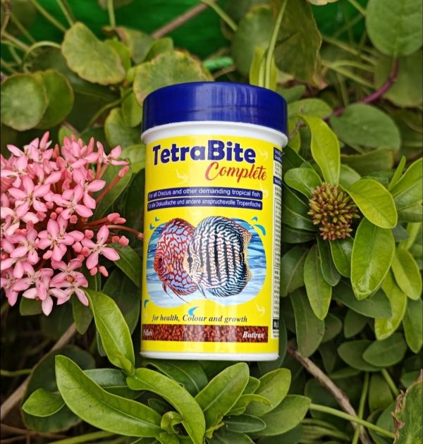 Champion Tetra Bite Complete (30g) – Vijay Aquarium